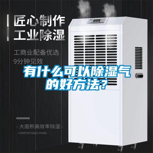 有什么可以除濕氣的好方法？