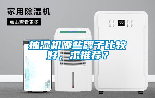 抽濕機哪些牌子比較好，求推薦？