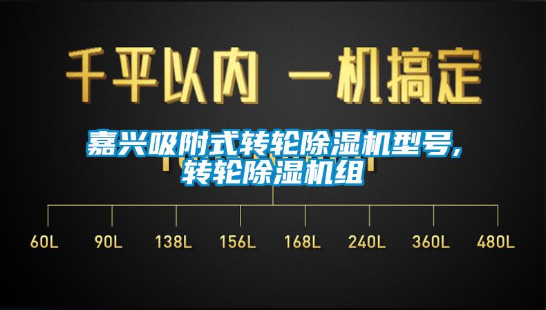 嘉興吸附式轉輪除濕機型號,轉輪除濕機組