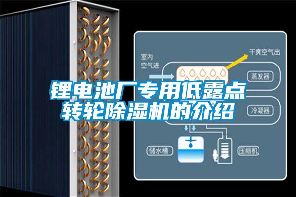 鋰電池廠專(zhuān)用低露點(diǎn)轉(zhuǎn)輪除濕機(jī)的介紹