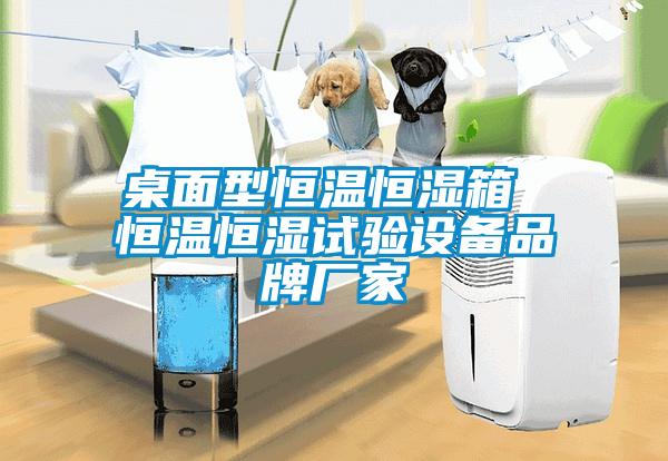 桌面型恒溫恒濕箱 恒溫恒濕試驗設(shè)備品牌廠家