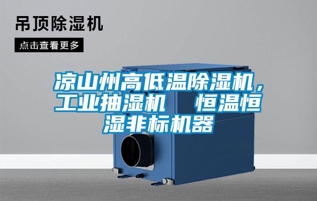 涼山州高低溫除濕機，工業(yè)抽濕機  恒溫恒濕非標機器