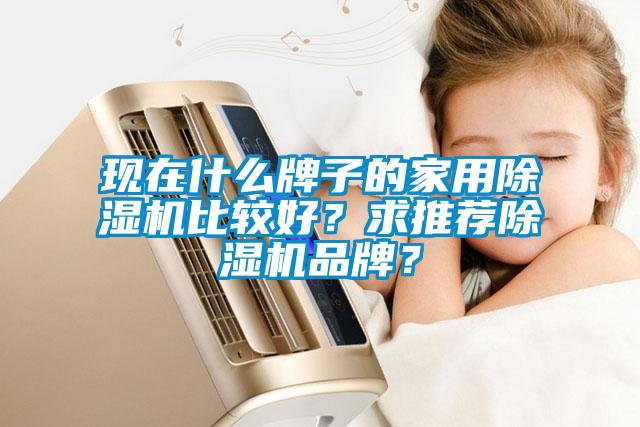 現(xiàn)在什么牌子的家用除濕機比較好？求推薦除濕機品牌？