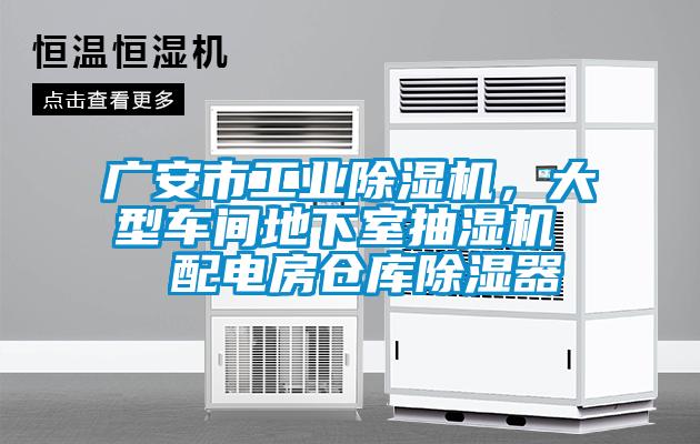 廣安市工業(yè)除濕機，大型車間地下室抽濕機  配電房倉庫除濕器