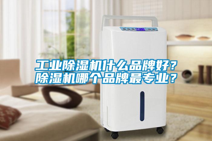 工業(yè)除濕機什么品牌好？除濕機哪個品牌最專業(yè)？