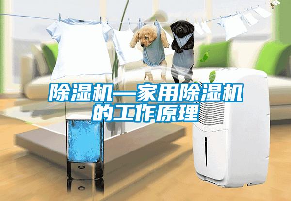 除濕機—家用除濕機的工作原理