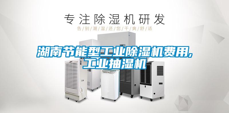 湖南節(jié)能型工業(yè)除濕機費用,工業(yè)抽濕機