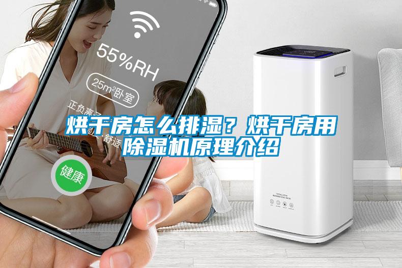 烘干房怎么排濕？烘干房用除濕機原理介紹