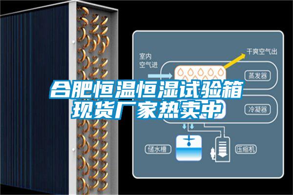 合肥恒溫恒濕試驗(yàn)箱現(xiàn)貨廠家熱賣中