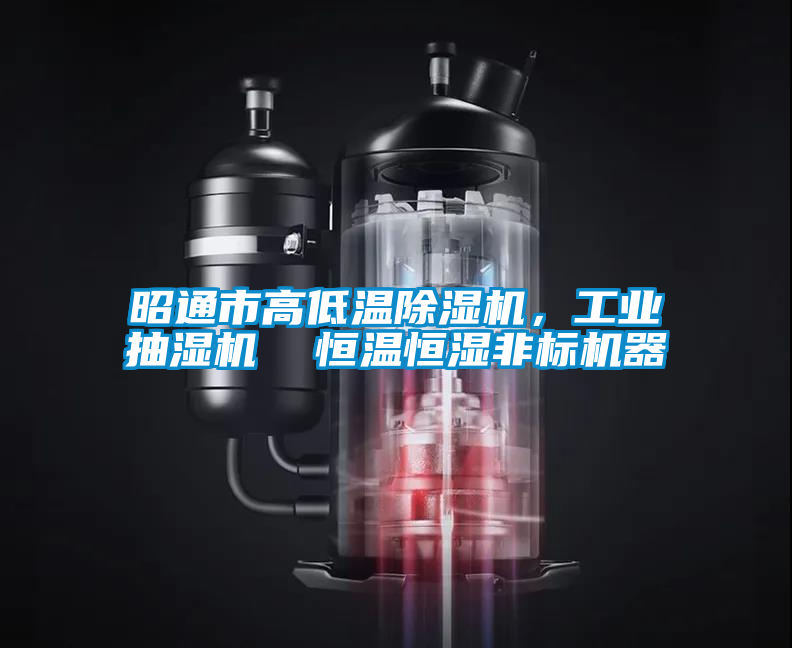 昭通市高低溫除濕機，工業(yè)抽濕機  恒溫恒濕非標(biāo)機器