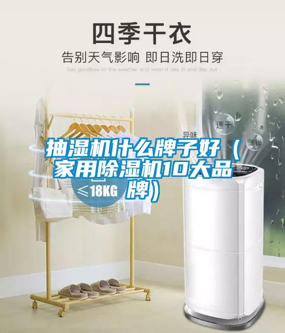 抽濕機什么牌子好（家用除濕機10大品牌）