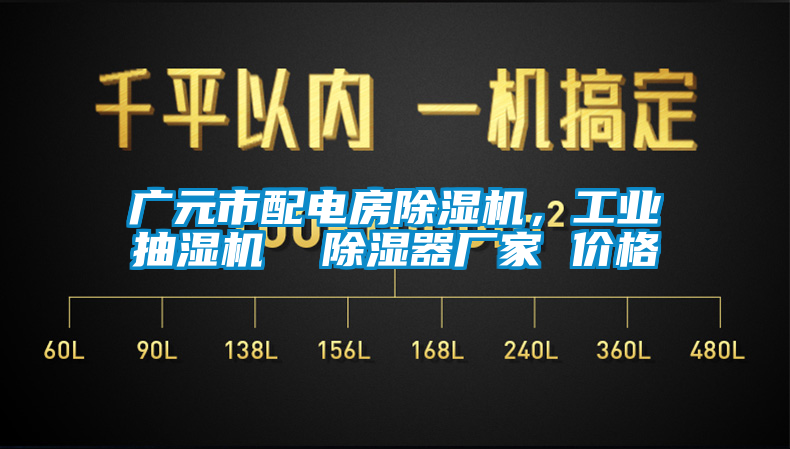 廣元市配電房除濕機(jī)，工業(yè)抽濕機(jī)  除濕器廠家 價格