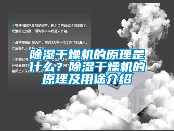 除濕干燥機的原理是什么？除濕干燥機的原理及用途介紹