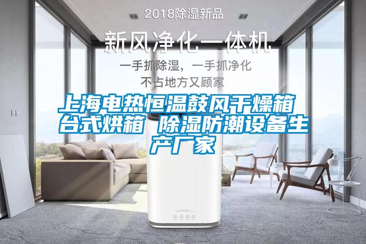 上海電熱恒溫鼓風干燥箱 臺式烘箱 除濕防潮設備生產(chǎn)廠家