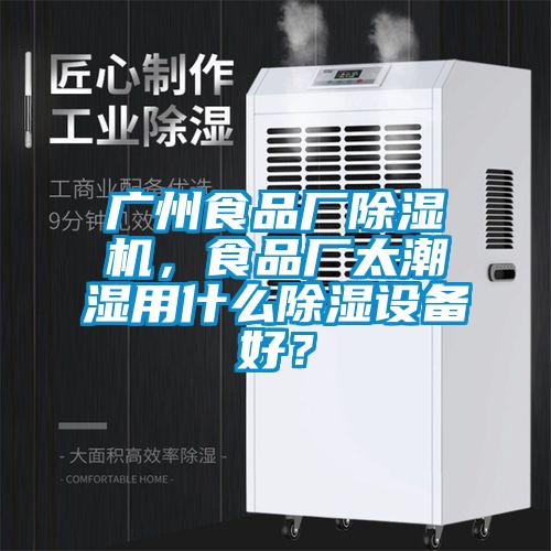 廣州食品廠除濕機，食品廠太潮濕用什么除濕設備好？