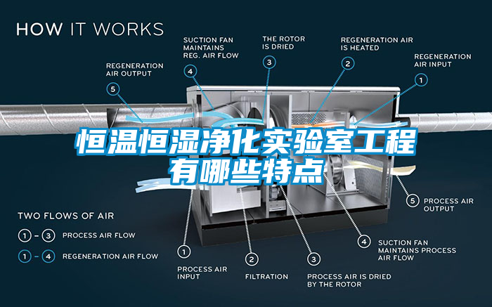 恒溫恒濕凈化實驗室工程有哪些特點(diǎn)