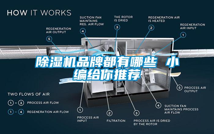 除濕機(jī)品牌都有哪些 小編給你推薦