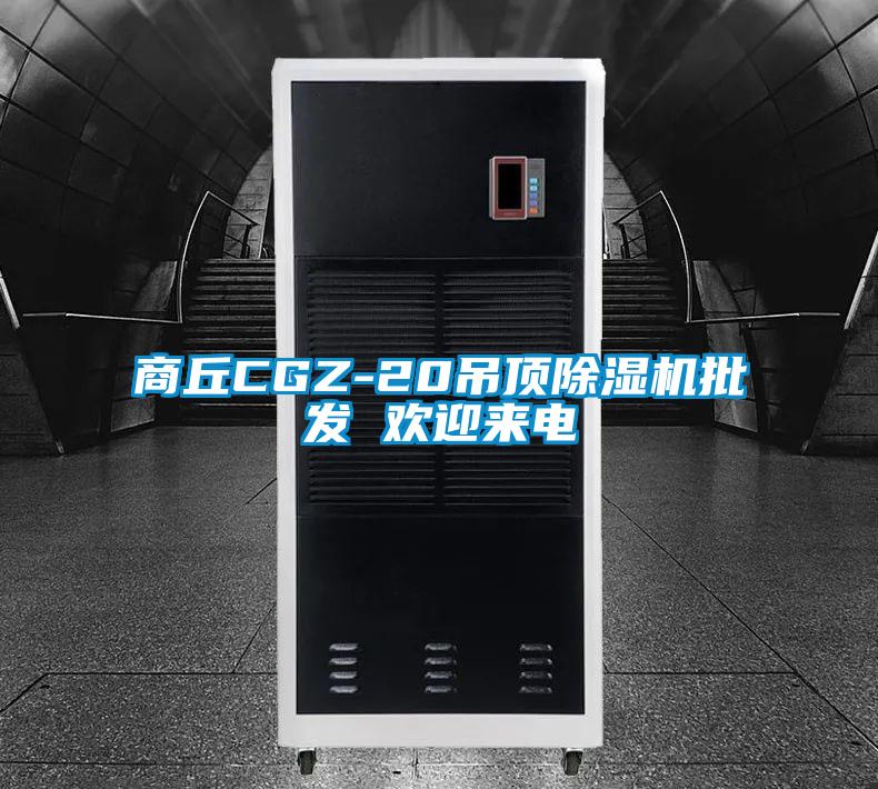 商丘CGZ-20吊頂除濕機批發(fā) 歡迎來電