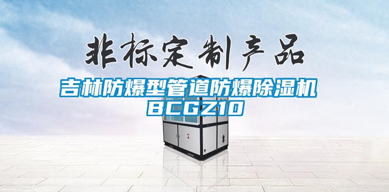 吉林防爆型管道防爆除濕機 BCGZ10