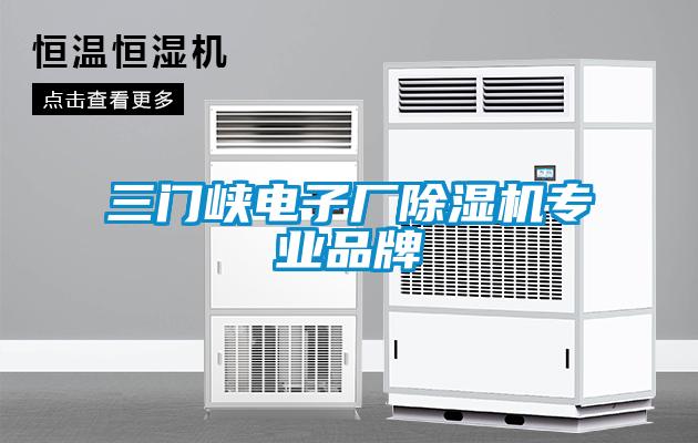 三門峽電子廠除濕機(jī)專業(yè)品牌