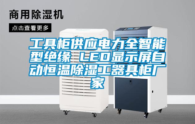 工具柜供應(yīng)電力全智能型絕緣 LED顯示屏自動(dòng)恒溫除濕工器具柜廠家