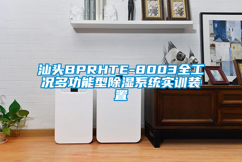 汕頭BPRHTE-8003全工況多功能型除濕系統(tǒng)實訓裝置