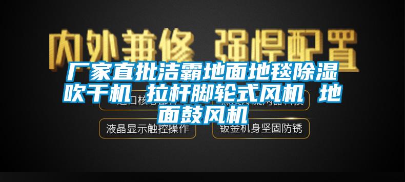 廠家直批潔霸地面地毯除濕吹干機 拉桿腳輪式風機 地面鼓風機