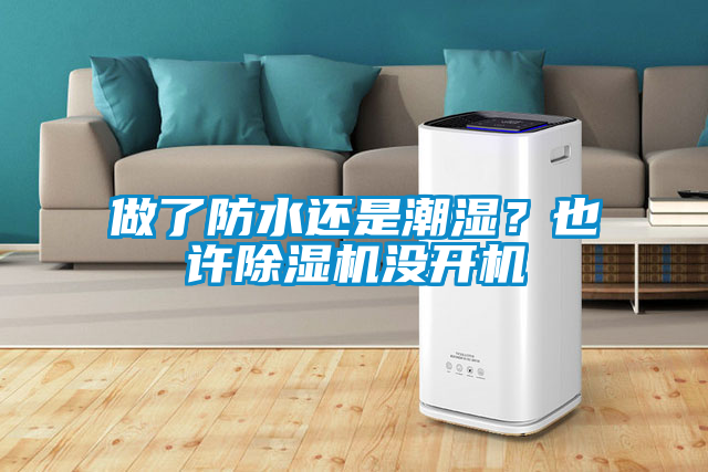 做了防水還是潮濕？也許除濕機沒開機