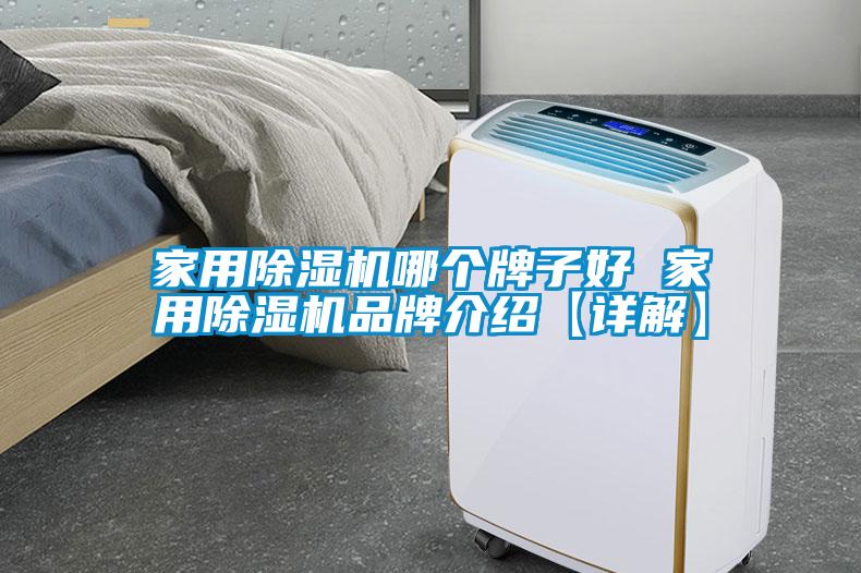 家用除濕機哪個牌子好 家用除濕機品牌介紹【詳解】