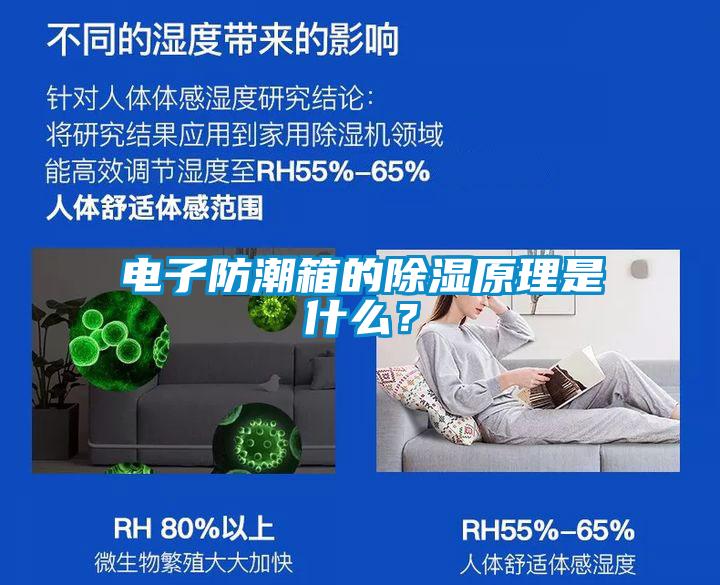 電子防潮箱的除濕原理是什么？