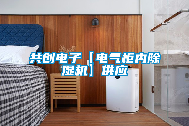 共創(chuàng)電子【電氣柜內(nèi)除濕機】供應