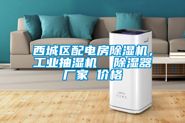 西城區(qū)配電房除濕機(jī)，工業(yè)抽濕機(jī)  除濕器廠家 價(jià)格