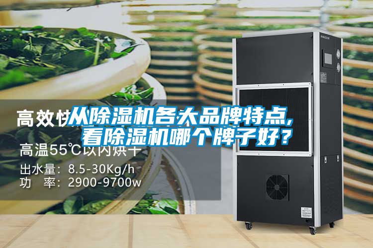 從除濕機(jī)各大品牌特點(diǎn), 看除濕機(jī)哪個(gè)牌子好？