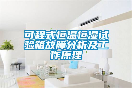 可程式恒溫恒濕試驗箱故障分析及工作原理