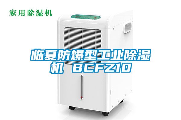 臨夏防爆型工業(yè)除濕機(jī) BCFZ10