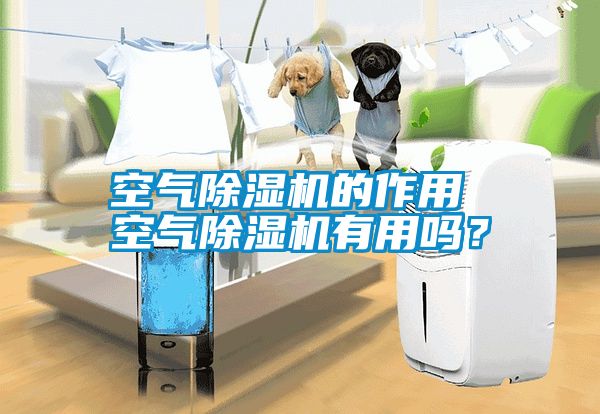 空氣除濕機的作用 空氣除濕機有用嗎？