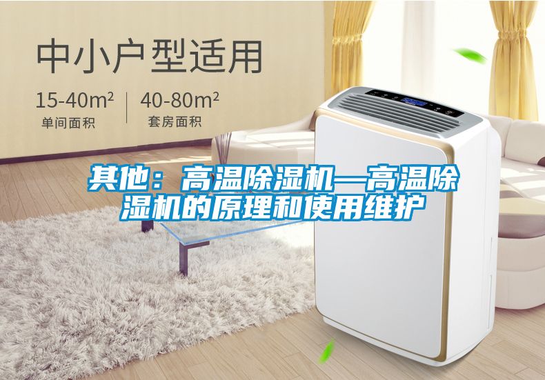 其他：高溫除濕機(jī)—高溫除濕機(jī)的原理和使用維護(hù)