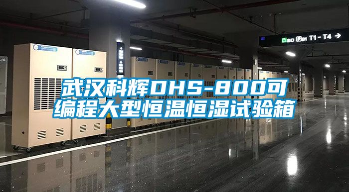 武漢科輝DHS-800可編程大型恒溫恒濕試驗(yàn)箱