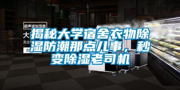 揭秘大學宿舍衣物除濕防潮那點兒事，秒變除濕老司機