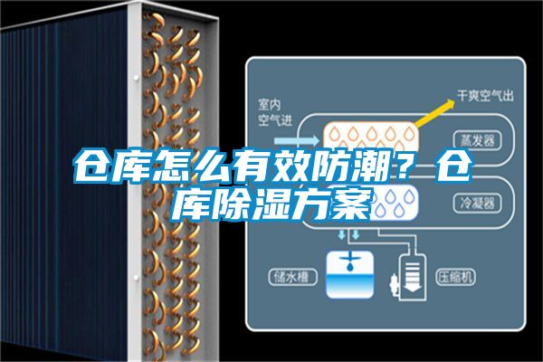 倉(cāng)庫(kù)怎么有效防潮？倉(cāng)庫(kù)除濕方案