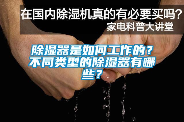 除濕器是如何工作的？不同類型的除濕器有哪些？