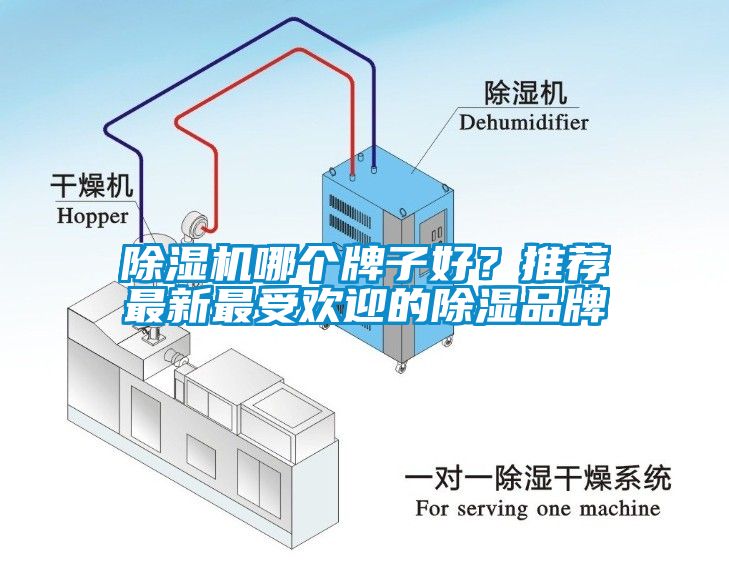 除濕機哪個牌子好？推薦最新最受歡迎的除濕品牌