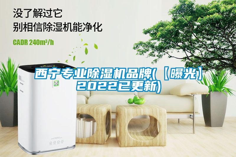 西寧專業(yè)除濕機(jī)品牌(【曝光】2022已更新)