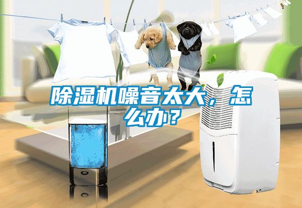 除濕機噪音太大，怎么辦？