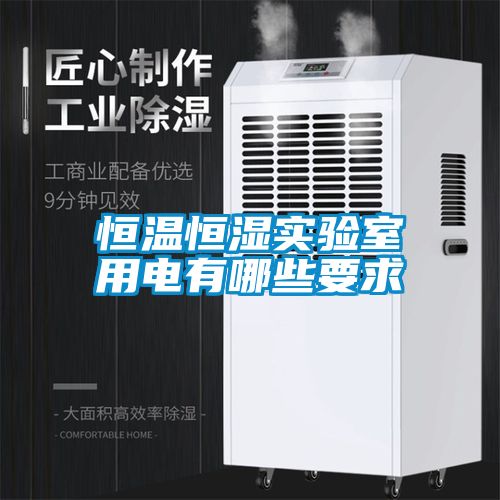 恒溫恒濕實(shí)驗(yàn)室用電有哪些要求