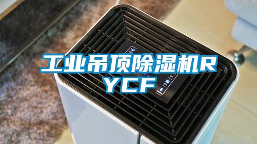 工業(yè)吊頂除濕機(jī)RYCF