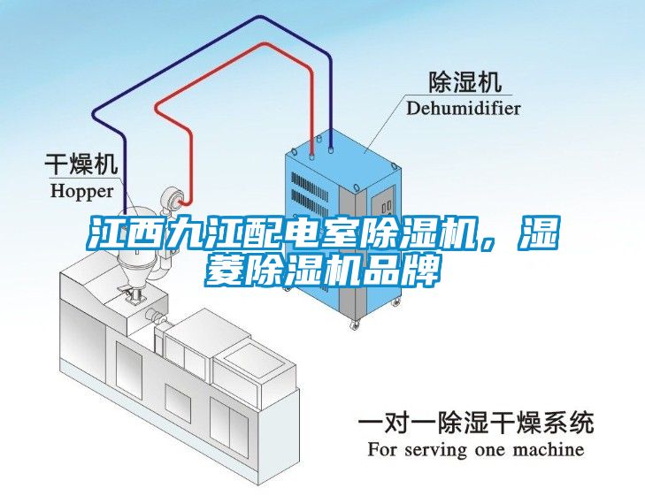 江西九江配電室除濕機(jī)，濕菱除濕機(jī)品牌