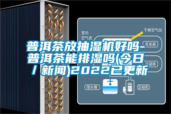 普洱茶放抽濕機好嗎-普洱茶能排濕嗎(今日／新聞)2022已更新