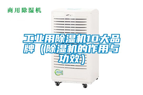 工業(yè)用除濕機(jī)10大品牌（除濕機(jī)的作用與功效）