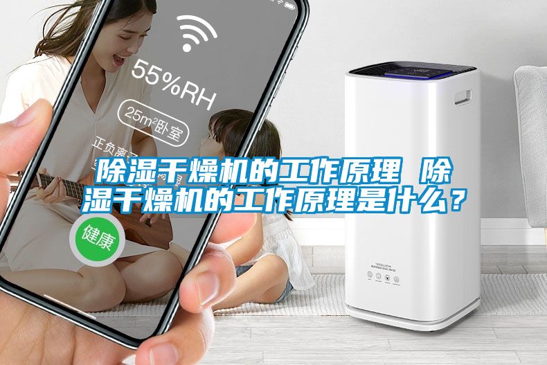 除濕干燥機的工作原理 除濕干燥機的工作原理是什么？